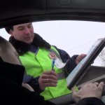 Амнистия для лишенных водительских прав 2018 когда Советник