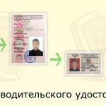 Driver&#39;s license history