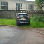 Остановка на газоне