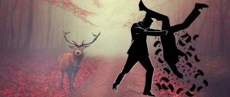 Повышенный штраф за сбитого оленя, волка или косулю в Красной книге