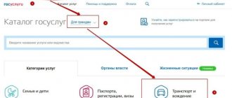 транспорт и вождение на Госуслугах